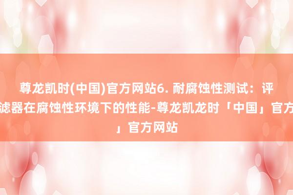 尊龙凯时(中国)官方网站6. 耐腐蚀性测试：评估过滤器在腐蚀性环境下的性能-尊龙凯龙时「中国」官方网站