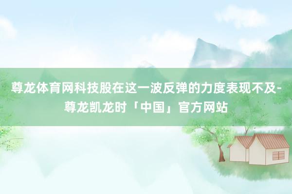 尊龙体育网科技股在这一波反弹的力度表现不及-尊龙凯龙时「中国」官方网站