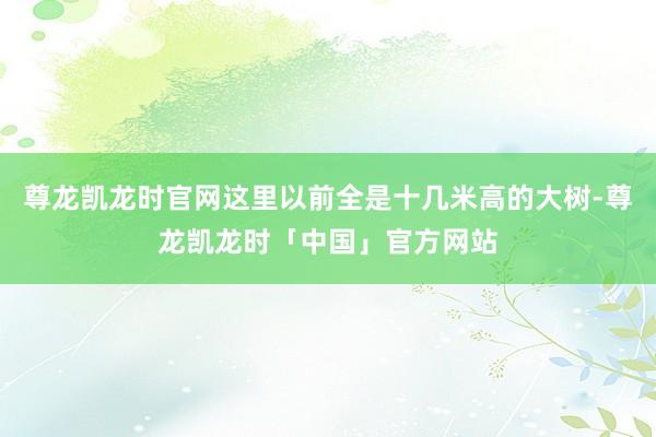 尊龙凯龙时官网这里以前全是十几米高的大树-尊龙凯龙时「中国」官方网站