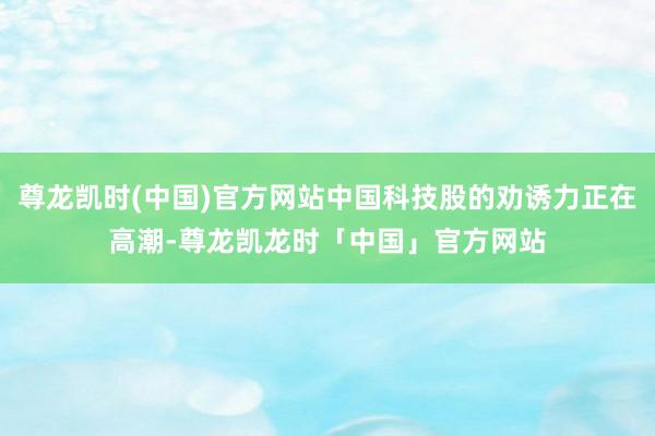 尊龙凯时(中国)官方网站中国科技股的劝诱力正在高潮-尊龙凯龙时「中国」官方网站