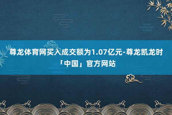 尊龙体育网买入成交额为1.07亿元-尊龙凯龙时「中国」官方网站